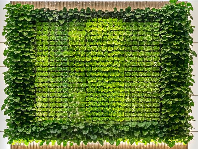 Innowacyjna instalacja hydroponiczna